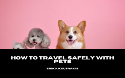 How to Travel Safely with Pets