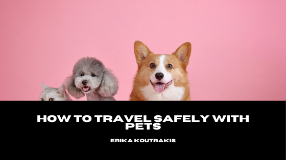 How to Travel Safely with Pets